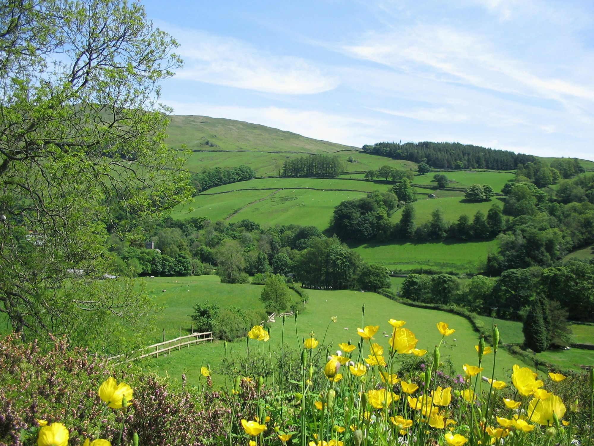 High Fold Guest House Troutbeck  Exterior foto